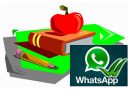 Deberes y WhatsApp